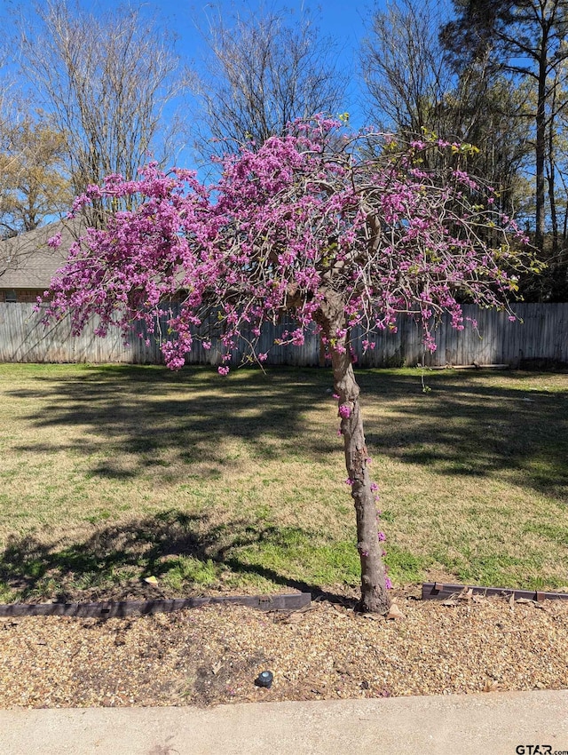 21105 Altuda Ln, Flint, TX 75762 - view of yard