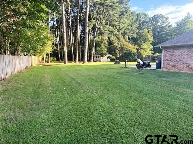21105 Altuda Ln, Flint, TX 75762 - view of yard
