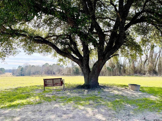 view of home's community with a lawn