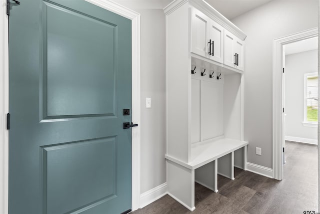 mudroom with dark hardwood / wood-style floors