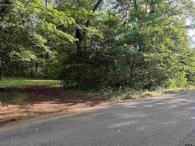 2613 Prestwick Rd # A & B, Jacksonville, TX 75766 - view of street with curbs and a view of trees