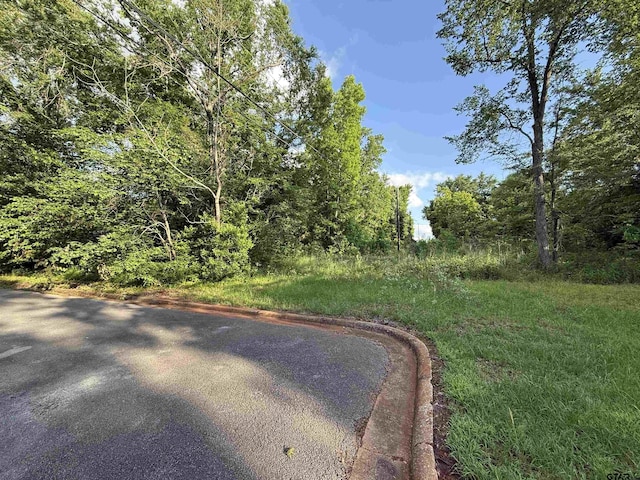 2613 Prestwick Rd # A & B, Jacksonville, TX 75766 - view of asphalt road with curbs and a wooded view