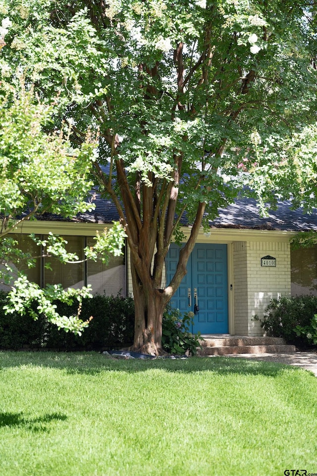 4010 Silverwood Dr, Tyler, TX 75701 - obstructed view of property with a front yard, brick siding, and a shingled roof