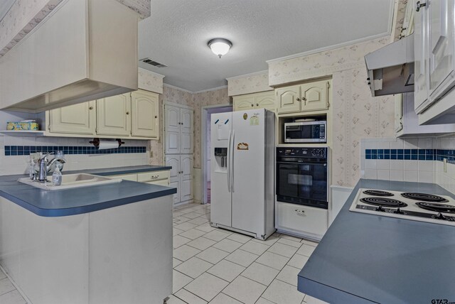 kitchen with sink, a textured ceiling, white appliances, crown molding, and decorative backsplash