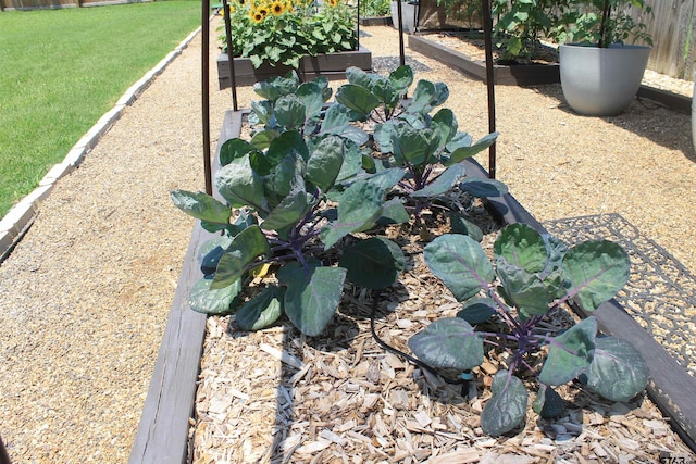 301 Zambezi Ln, Bullard, TX 75757 - exterior view of a garden