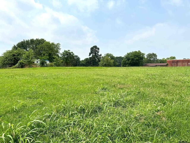 Listing photo 3 for TBD Franklin St, Pittsburg TX 75686