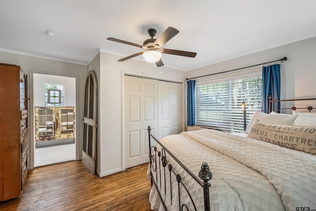 bedroom featuring ornamental molding, multiple windows, hardwood / wood-style flooring, and ceiling fan