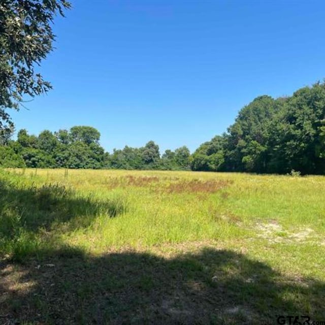 view of local wilderness featuring a rural view