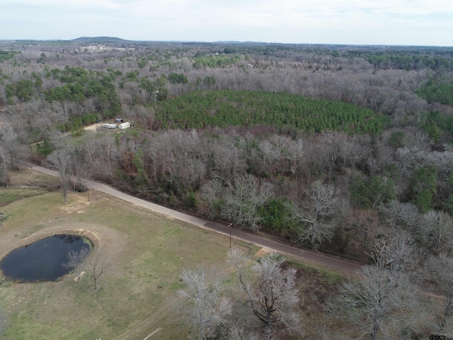 4557 Elderberry Rd, Gilmer, TX 75644 - photo 28