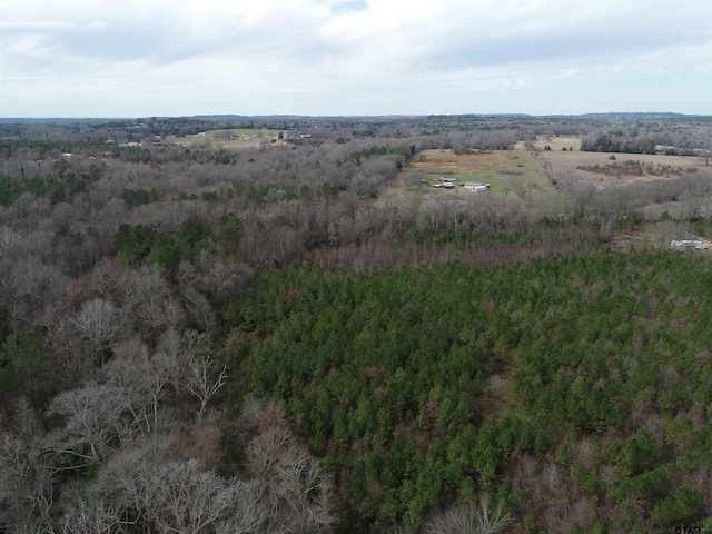 4557 Elderberry Rd, Gilmer, TX 75644 - photo 22