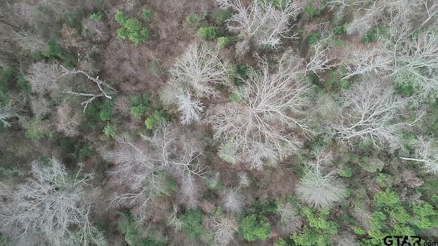 4557 Elderberry Rd, Gilmer, TX 75644 - photo 25