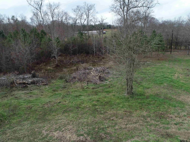 4557 Elderberry Rd, Gilmer, TX 75644 - photo 37