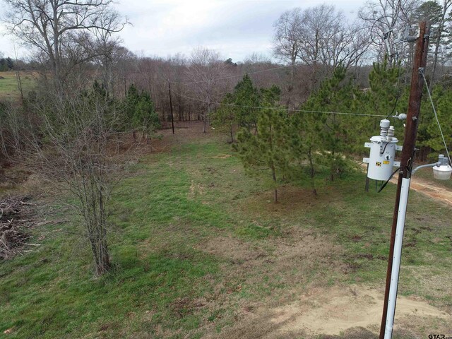 4557 Elderberry Rd, Gilmer, TX 75644 - photo 38