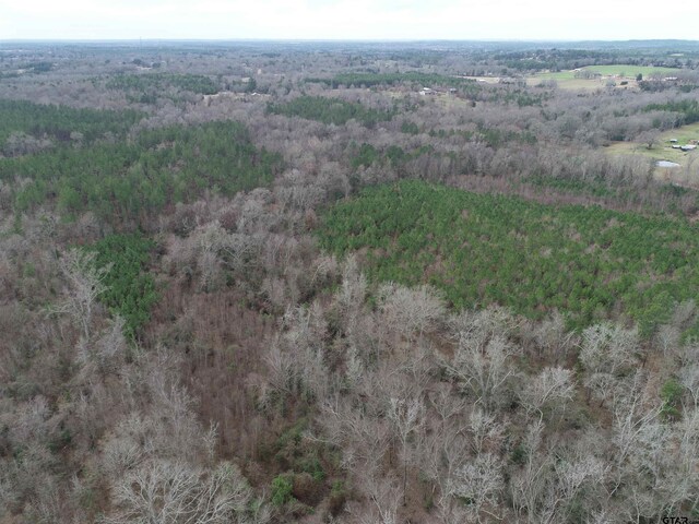 4557 Elderberry Rd, Gilmer, TX 75644 - photo 14