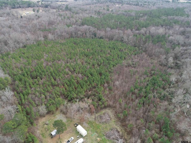4557 Elderberry Rd, Gilmer, TX 75644 - photo 9