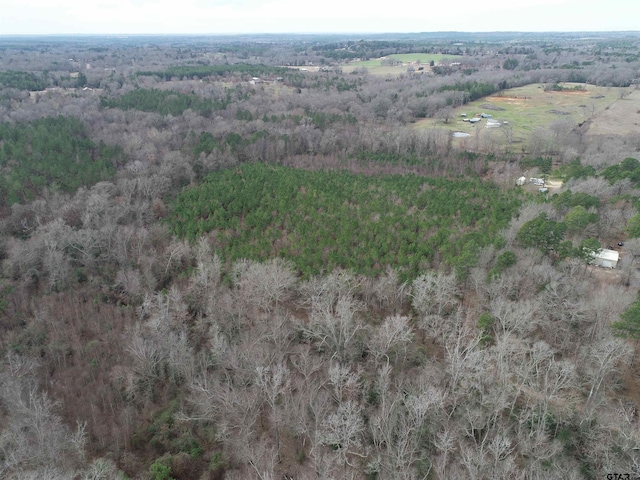 4557 Elderberry Rd, Gilmer, TX 75644 - photo 13