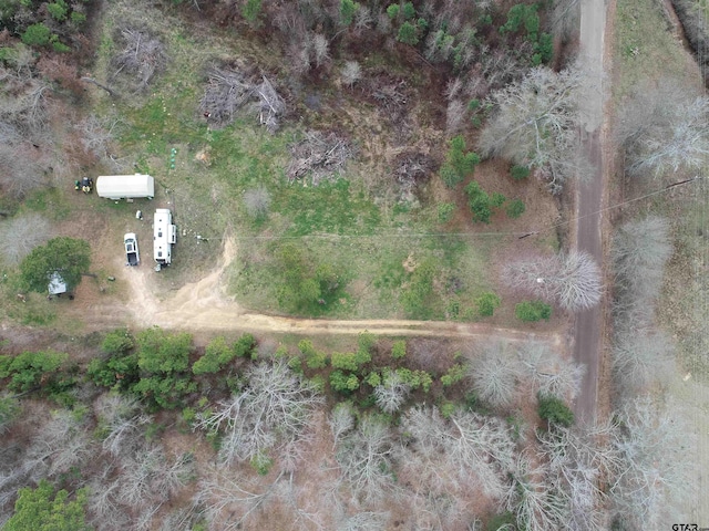 4557 Elderberry Rd, Gilmer, TX 75644 - photo 6