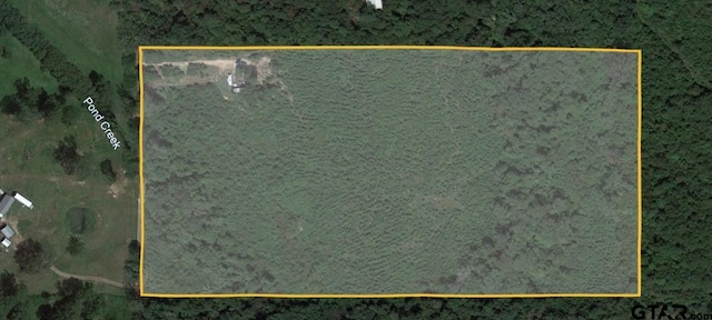 4557 Elderberry Rd, Gilmer, TX 75644 - photo 4