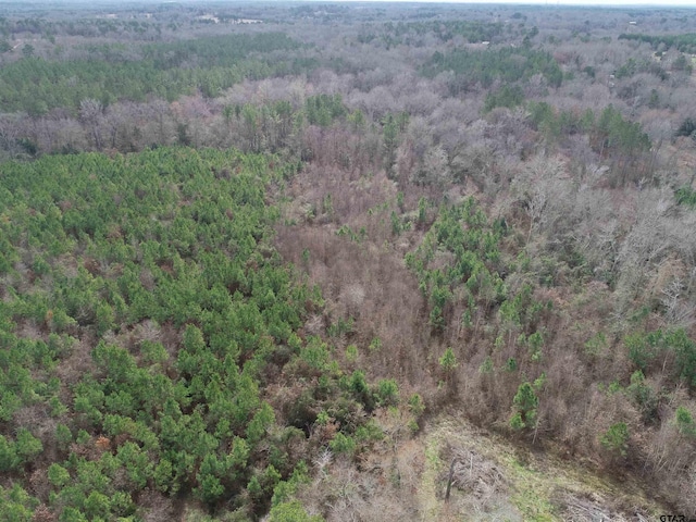 4557 Elderberry Rd, Gilmer, TX 75644 - photo 34