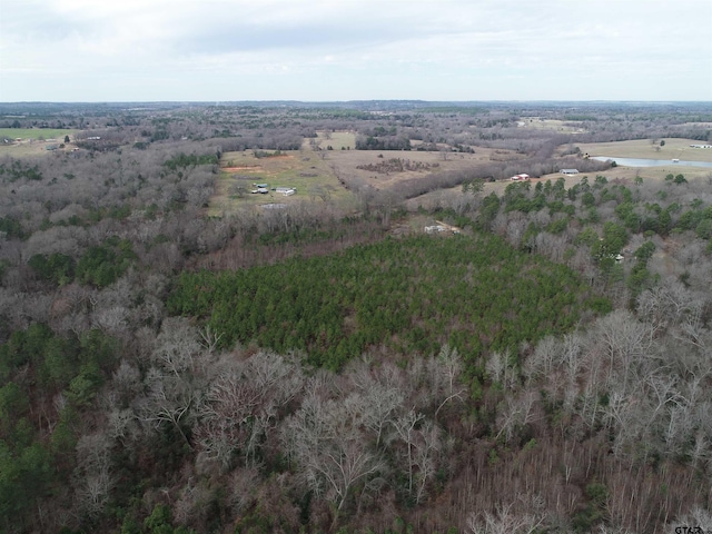 4557 Elderberry Rd, Gilmer, TX 75644 - photo 16