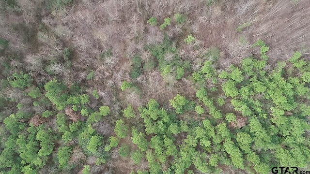 4557 Elderberry Rd, Gilmer, TX 75644 - photo 24