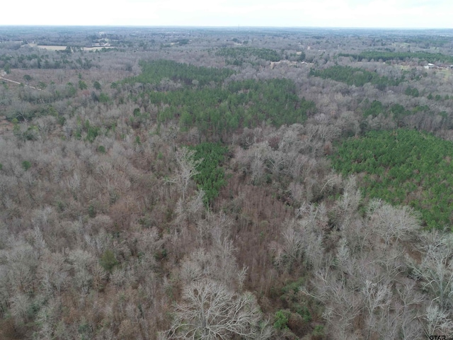 4557 Elderberry Rd, Gilmer, TX 75644 - photo 15