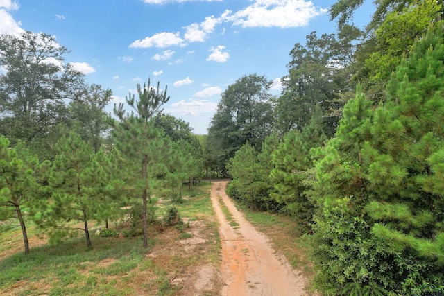 4557 Elderberry Rd, Gilmer, TX 75644 - photo 1