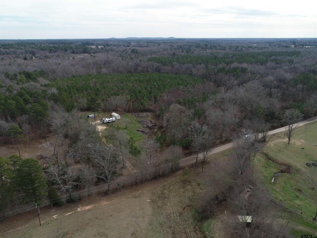 4557 Elderberry Rd, Gilmer, TX 75644 - photo 31