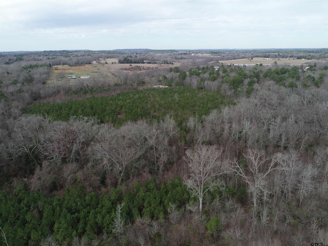 4557 Elderberry Rd, Gilmer, TX 75644 - photo 18