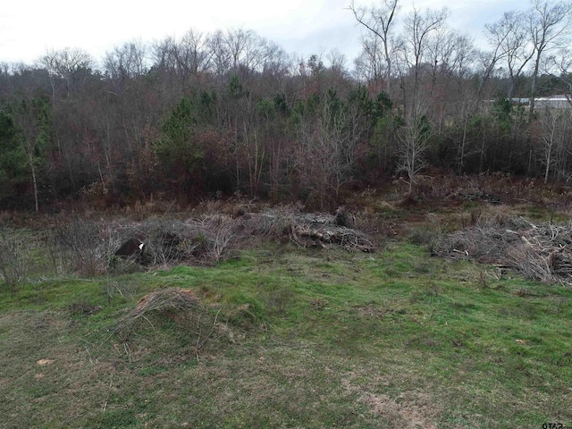 4557 Elderberry Rd, Gilmer, TX 75644 - photo 36