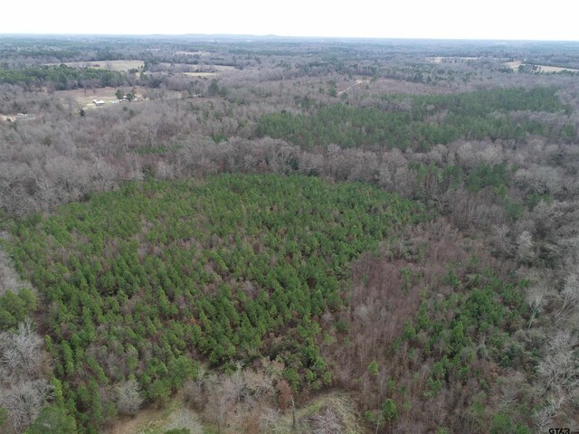 4557 Elderberry Rd, Gilmer, TX 75644 - photo 10