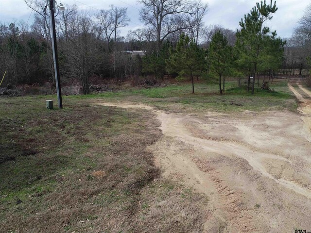 4557 Elderberry Rd, Gilmer, TX 75644 - photo 3