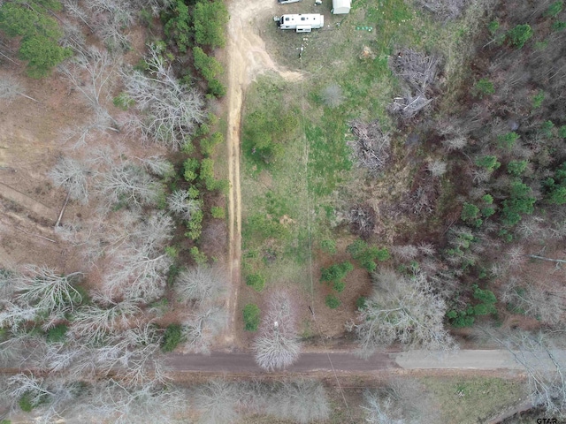 4557 Elderberry Rd, Gilmer, TX 75644 - photo 7