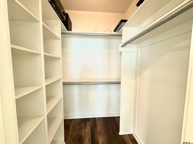 spacious closet featuring wood finished floors