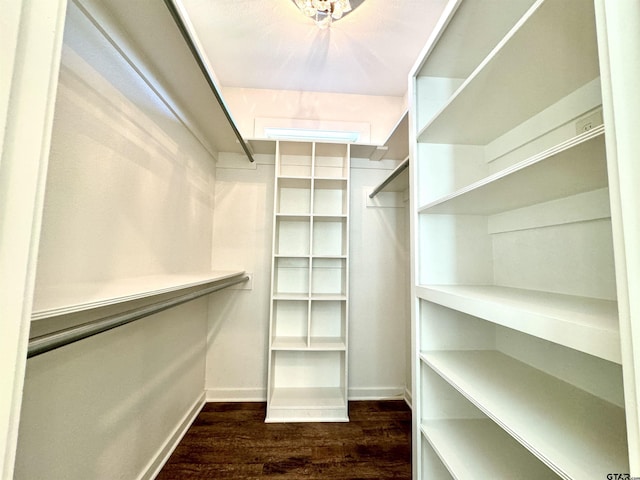 spacious closet featuring dark wood finished floors