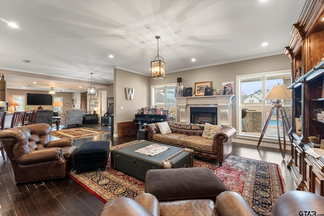 living room featuring crown molding and dark wood-type flooring