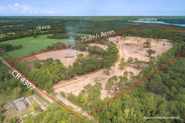 19451 County Road 4307, Larue TX, 75770 land for sale