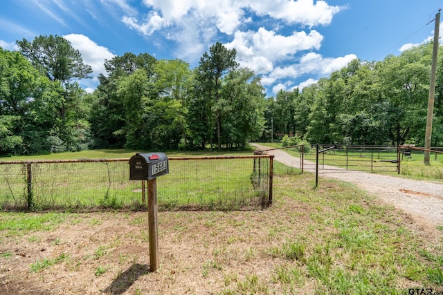 15683 Crk 472, Tyler, TX 75706 - view of dirt / gravel road featuring a gate and a rural view