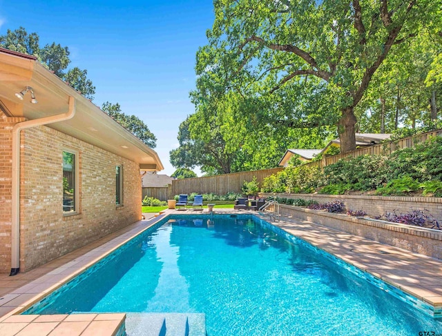 view of swimming pool featuring a patio