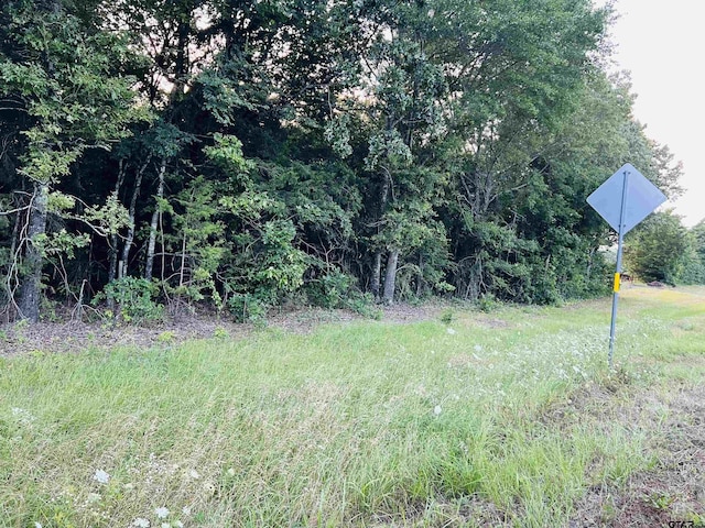 TBD US Highway 259 N, Omaha, TX 75571 - photo 1