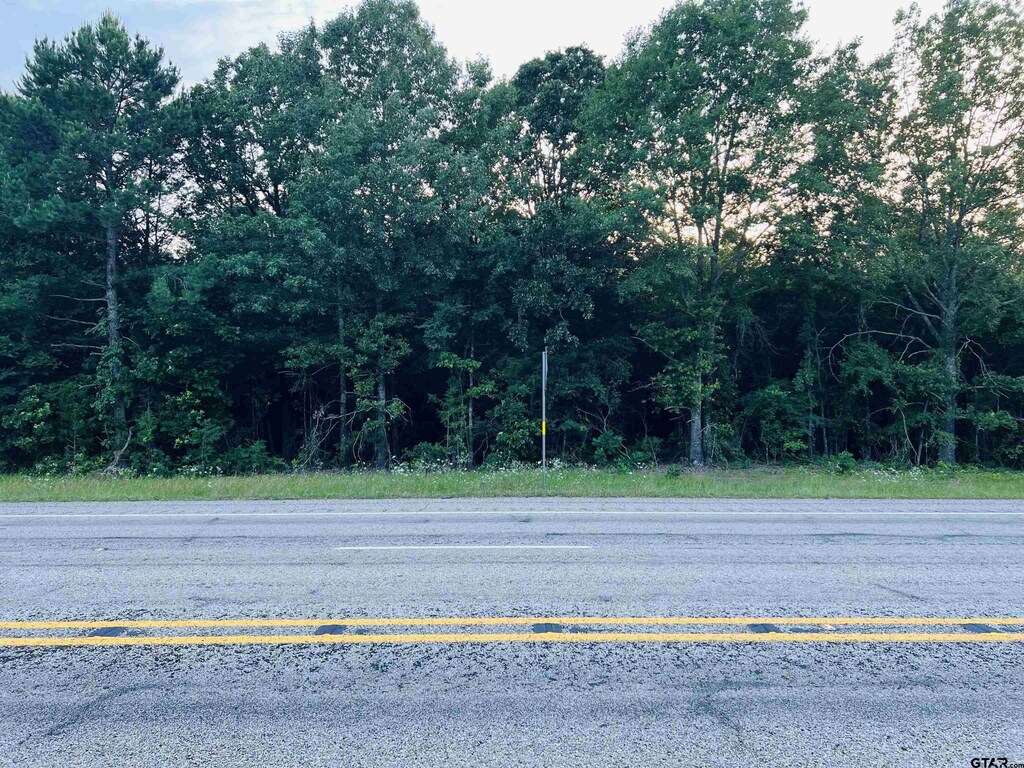 TBD US Highway 259 N, Omaha, TX 75571 - photo 2