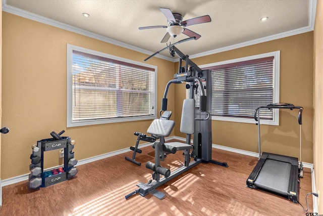 exercise area with hardwood / wood-style flooring, ceiling fan, and crown molding