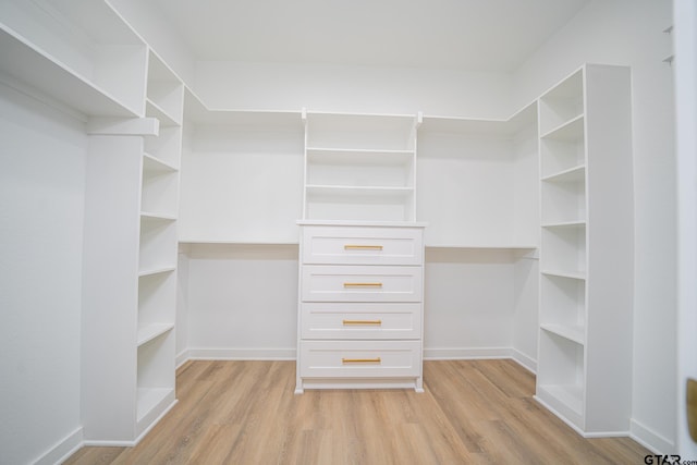 spacious closet featuring light wood-style flooring