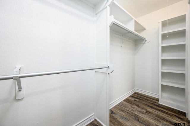 walk in closet featuring dark wood finished floors