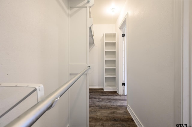 spacious closet featuring dark wood-style floors