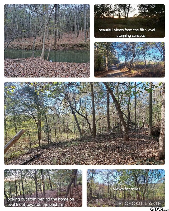 10774 County Road 494, Multiple Addresses Tyler, TX 75706 - photo 12