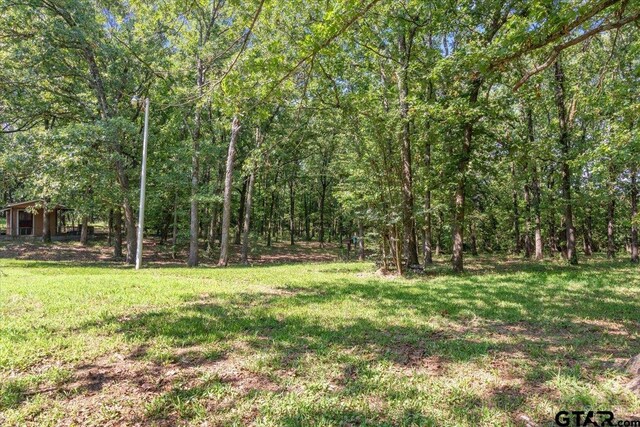 713 County Road 4218, Mount Pleasant, TX 75455 - photo 24