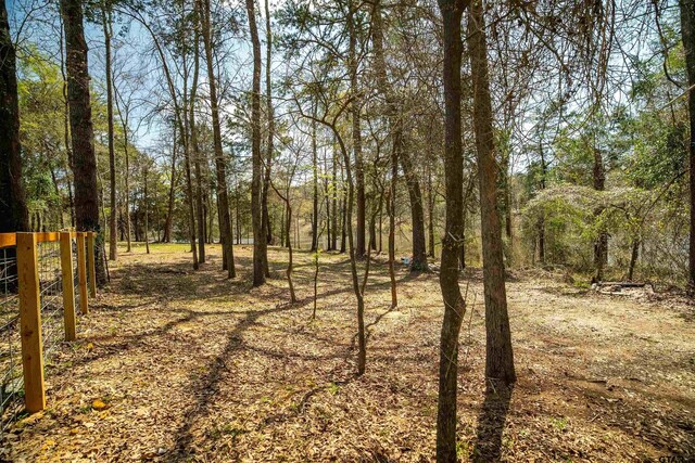 190 County Road 4826, Winnsboro, TX 75494