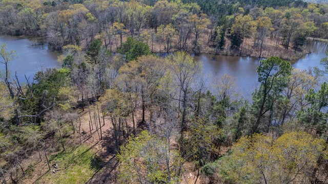 190 County Road 4826, Winnsboro, TX 75494