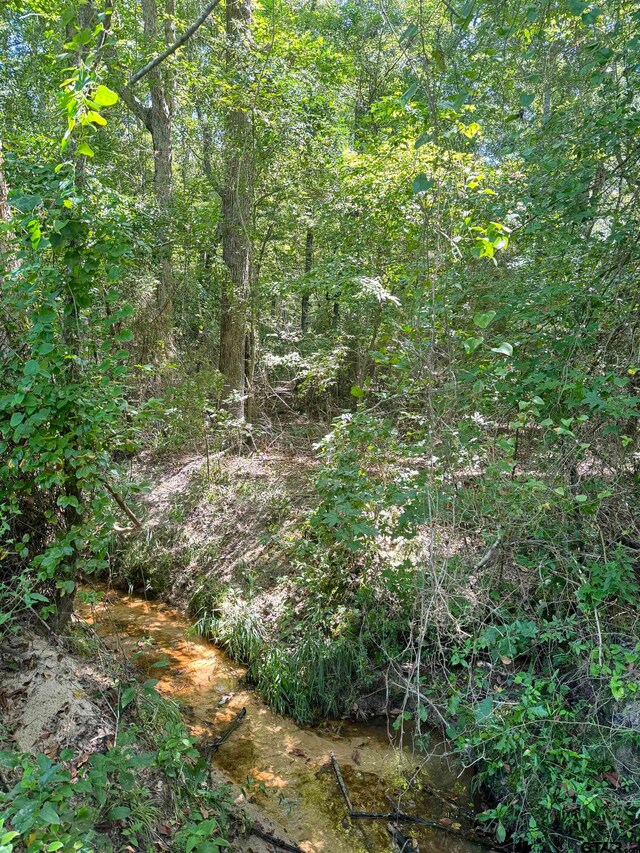 75 County Road 4411, Pittsburg TX, 75686 land for sale